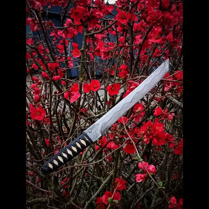 Wakizashi1